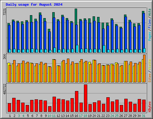 Daily usage for August 2024