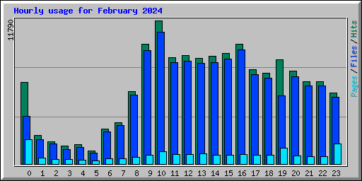 Hourly usage for February 2024