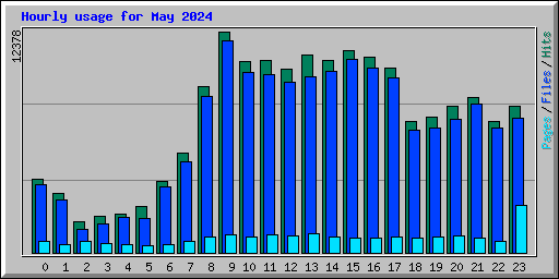 Hourly usage for May 2024