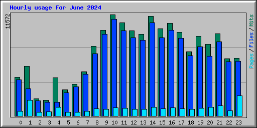 Hourly usage for June 2024