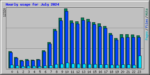 Hourly usage for July 2024