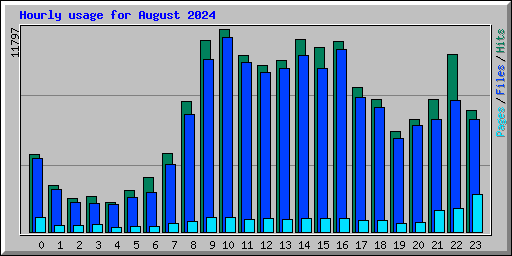 Hourly usage for August 2024