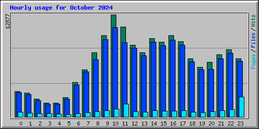 Hourly usage for October 2024