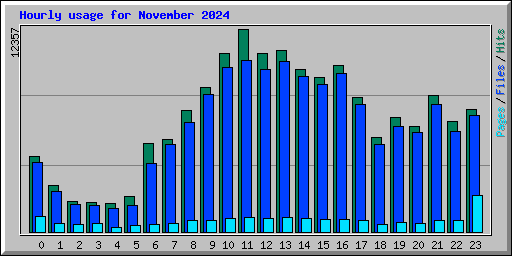 Hourly usage for November 2024