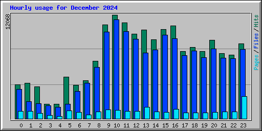 Hourly usage for December 2024