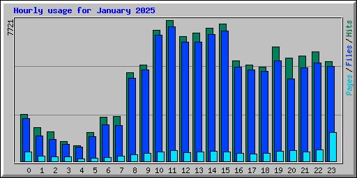 Hourly usage for January 2025